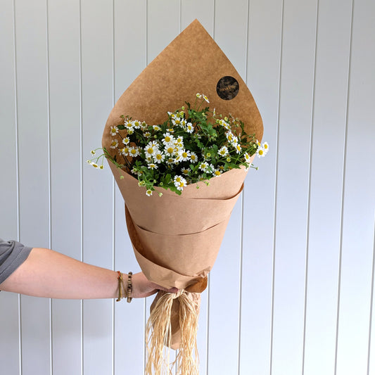 Chamomile